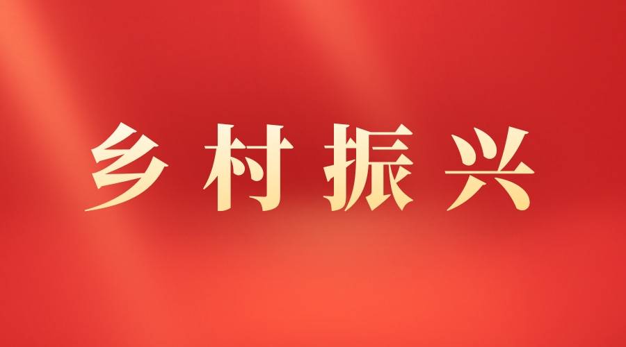 就业帮扶促增收 托起群众“致富梦” 米兰(中国)驻化隆县群科镇乙沙二村驻村工作队工作纪实